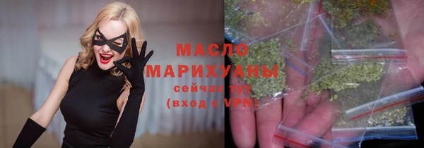 стаф Ельня