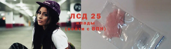 мдпв Богородск