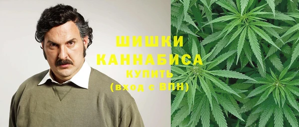 мдпв Богородск