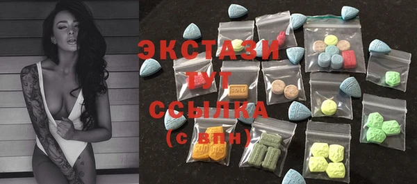 мдпв Богородск