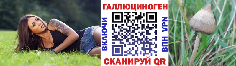 Псилоцибиновые грибы мухоморы  купить наркотики цена  Неман 